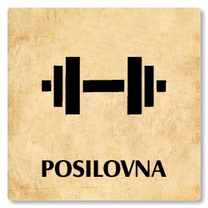 Posilovna, 100x100mm, pergamen, Nevada